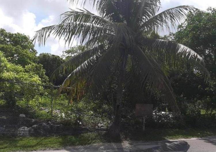 7. Lots / Acreage for Sale at Other New Nassau and Paradise Island, Nassau and Paradise Island Bahamas